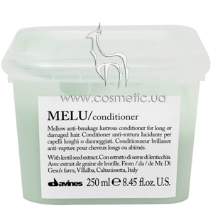 ����������� ��� �������������� �������� ����c Davines MELU Conditioner