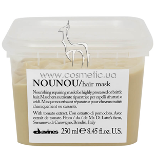 ����������� ����������������� ����� Davines NOUNOU Hair Mask