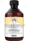 ��������� ������� ������ ������� Davines NT Purifying Shampoo small