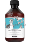 ����������� ������� Davines NT Well-being Shampoo small