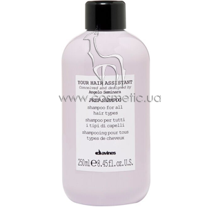 ������������� ������� ��� ���������� ����� � ������� Davines Your Hair Assistant Prep Shampoo