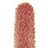 ����� ��� ��� Deborah Glossissimo Lip Gloss # 18 -