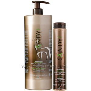 ������� ��� ����������� ���������� � ��������� � � ���������� Dikson Andy Daily Use Shampoo