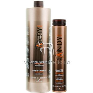������� �� ������� � ��������������� Dikson Andy Purificante Shampoo