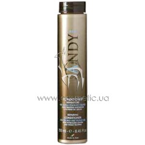 ����������� ��� ���������� � ��������� ������������ ����� Dikson Andy Riparatore Conditioner