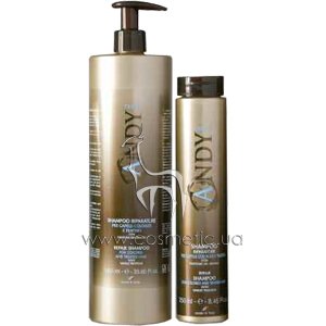 ������� ��� ���������� � ��������� ������������ ����� Dikson Andy Riparatore Shampoo