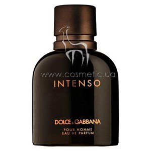 ������ Dolce & Gabbana Intenso Pour Homme Eau de Parfum