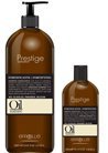������� ������ ������� � ��������������� Erreelle Italia Prestige Oil Nature Dandruff Shampoo small