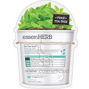 ������������� �������� ����� � ���������� ������� ������ ��� ���������� ���� EssenHerb Tea Tree Mask