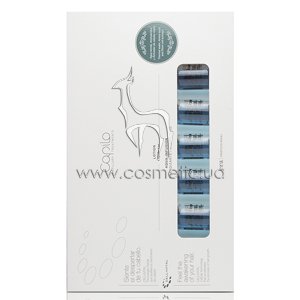 ������ �� ��������������� ������ ����� Eva Professional Capilo Energikum Aqua-Infusion Lotion �31