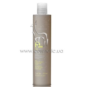 ������� ���������� ��� ������ ����� Eva Professional E-line Fresh Shampoo