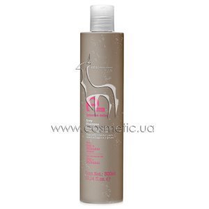 ������� ��� ����� ����� Eva Professional E-line Grey Shampoo