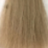����-������ � ������� ���� � ������� Glossco Color #10.00 NTENSE EXTRALIGHT BLOND