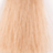 ������������ ������ ��� ����� Glossco Color Cream Namony #10 EXTRA-LIGHT BLONDE