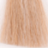 ������������ ������ ��� ����� Glossco Color Cream Namony #10.1 EXTRA-LIGHT ASH BLONDE