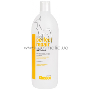 ����������������� ������� ��� ������������ ����� Glossco Treatment Perfect Repair Shampoo
