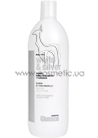 ������� ��� ������� � ����� ����� ����-������ ������ Glossco Treatment White & Silver Shampoo small