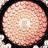 �������������� ���������� ����� Guerlain Meteorites Poudre de Perles Illuminating Perfecting Pressed Powder #02 Rose Frais