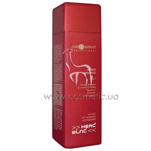 �������������� ������� Hair Company Professional Energy Shampoo