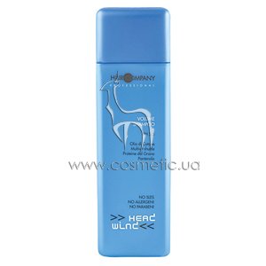 ������� ��� �������� ������ Hair Company Professional Head Wind For Volume