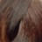 ����-������ ����� ������� HairConcept Classic Color #6.2 ������� ������ �����