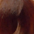 ����-������ ����� ������� HairConcept Classic Color #8.34 �����-���������� ������� �������