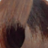 ����-������ ����� ������� HairConcept Classic Color #4.43 �����-���������� �����