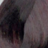 ����-������ ����� ������� HairConcept Classic Color #4.6 ����������� �����