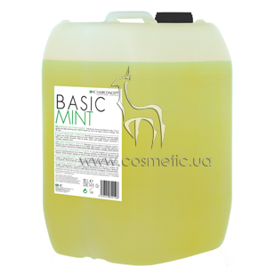 ������� ��������� ���� ������ HairConcept Color&Color Servise Basic Mint Shampoo