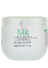����� ��� �������� ����� HairConcept Elite Pro Treatment Mask Rizz small
