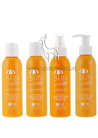 ����� ��� ����� � ���� HairConcept Suncare Set small