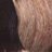 ������������ ������ ��� ����� idHair Hair Paint Anti Age #4/68 ������-���������� �����