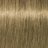 ������������ ����-������ Indola Blonde Expert Permanent Caring Color #100.8+