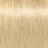 ������������ ����-������ Indola Blonde Expert Permanent Caring Color #P.31 ���������� ���������� ��������� ���