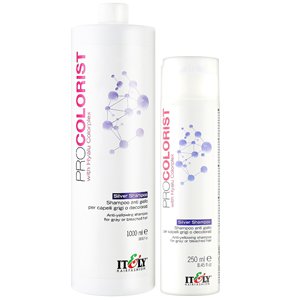 Шампунь для нейтрализации желтизны Itely Hairfashion Pro Colorist Silver Shampoo