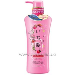 ������� ��� �������� ������ ������������ ������� Kanebo Ichikami