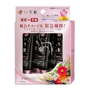 ����������������� �������� ��� ���������� � ������������ ����� Kanebo Ichikami Hair Treatment Complex