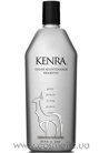 ������� ��� ������ ����� Kenra Professional Color Maintenance Shampoo small