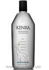 ������� ����������� ����������� Kenra Professional Moisturizing Conditioner small