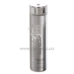 ����������� ������� ��� ������ ���������� ����� ��� ��������� Kenra Professional Platinum Color Care Sulfate-Free Shampoo For Fine/Thin Hair