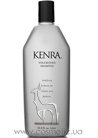 ������� ��� ������ Kenra Professional Volumizing Shampoo small