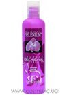 ������� � ������ ������� Kleral System Orchid Oil Shampoo small