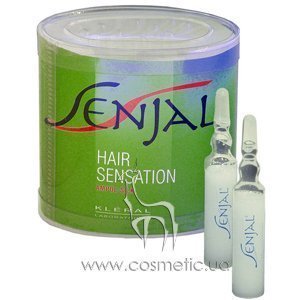 ���������� ������ ��� �������������� ����� Kleral System Silk Senjal