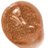 ����� ��� ��� Lancome Color Fever Gloss #202 Sensual Brown Java