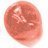 ������������� ����� ��� ��� Lancome L'Absolu Creme De Brillance #66 Orange Sacree