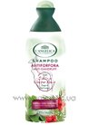 �������� ������� ������ ������� c �������������� � ������� L'Angelica Officinalis Anti-dandruff Shampoo Sage & Red Juniper small