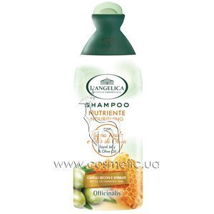 ����������� ������� ��� ����� ����� L'Angelica Officinalis Nourishing Shampoo Royal Jelly & Olive Oil