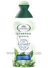 ������� ������ ������� � ������ ������� ������ L'Angelica Officinalis Tea Tree Oil Anti-dandruff Shampoo small