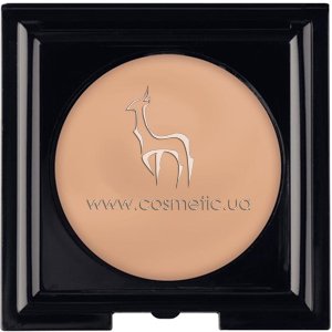 ����������� ����� ��� ���� LCN Perfect Camouflage Powder