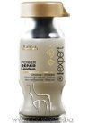 ������ ��� ������������ �������������� ������ ������������ ����� L'Oreal Professionnel Absolut Repair Lipidium Power Repair small